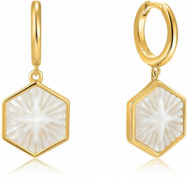 Ania Haie Compass Emblem Huggie oorringen verguld