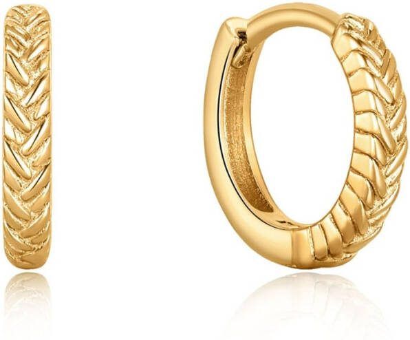 Ania Haie Oorbellen Ropes And Dreams Earrings AH E036 03G Goudkleurig