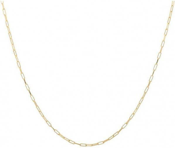 Anna + Nina Lifeline Plain Long ketting verguld