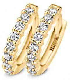 Blush Oorringen van 14 karaat geelgoud 7134YZI