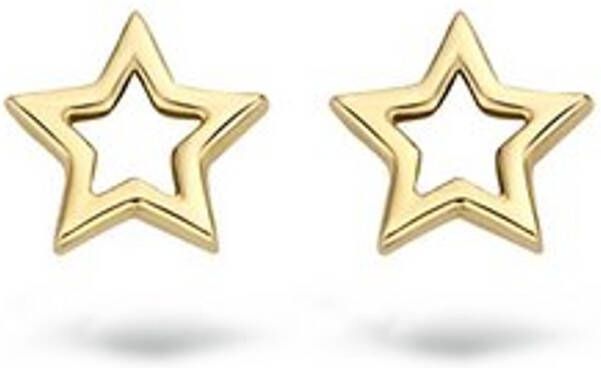 Blush Oorknopjes van 14 karaat geelgoud 7348YGO