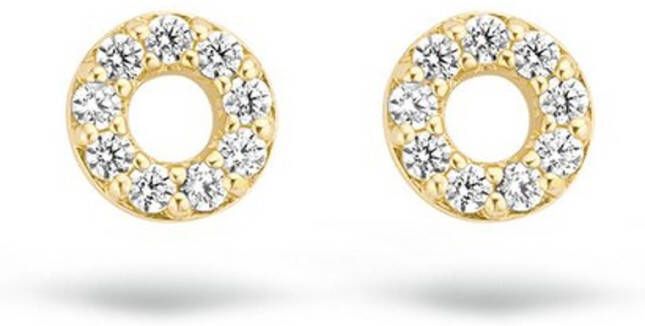 Blush Oorknopjes van 14 karaat geelgoud met zirkonia 7193YZI