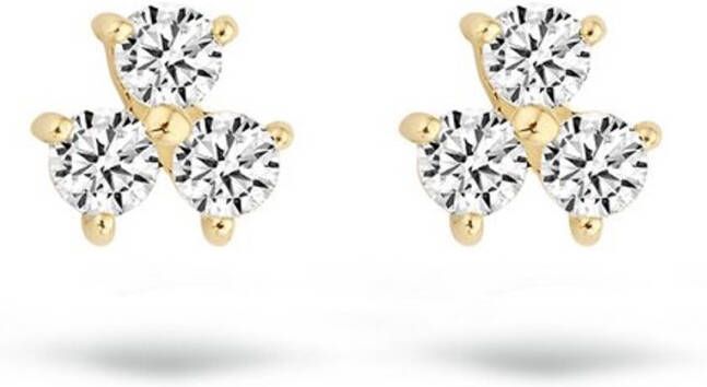 Blush Oorknopjes van 14 karaat geelgoud met zirkonia 7197YZI