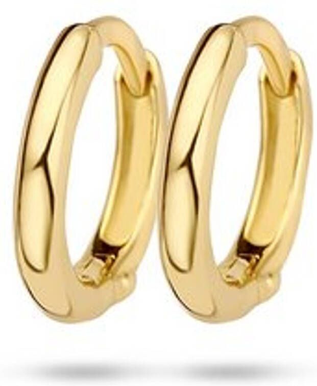 Blush Oorringen van 14 karaat geelgoud 7221YGO