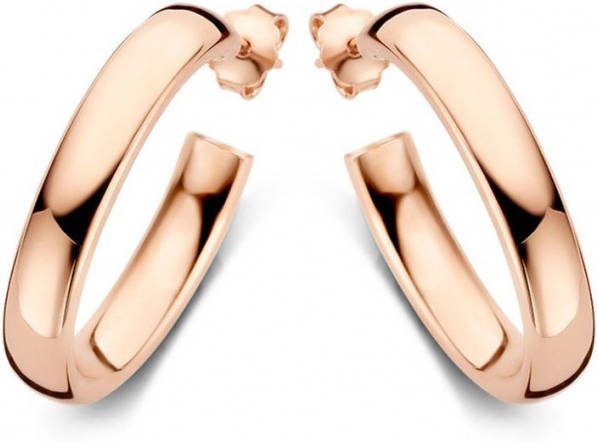 Casa Jewelry Class S oorringen verguld