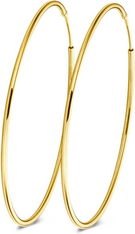 Casa Jewelry DMC M oorringen van zilver met goud verguld