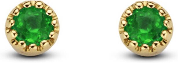 Diamond Point Geelgouden oorsieraden 0 08 ct smaragd Joy