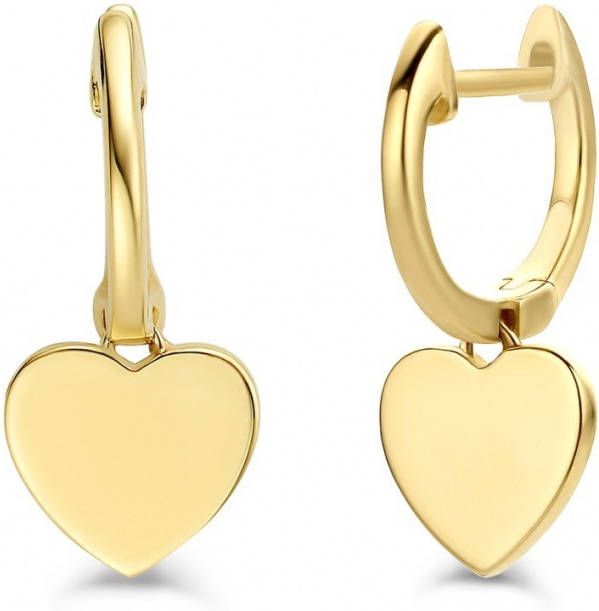 Diamond Point Geelgouden oorsieraden Dreamer