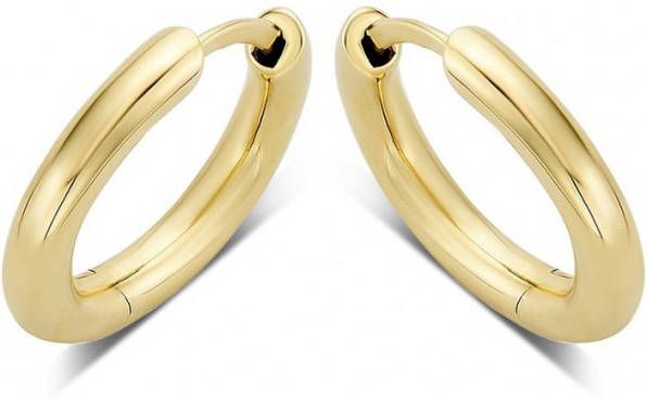 Diamond Point Geelgouden oorsieraden Timeless Treasures