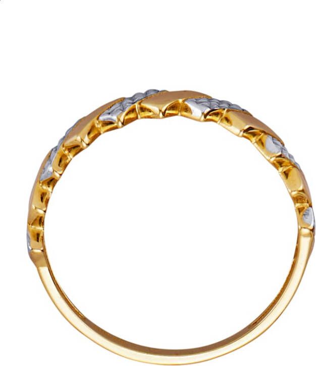 KLiNGEL Damesring 9 kt. Goudkleur