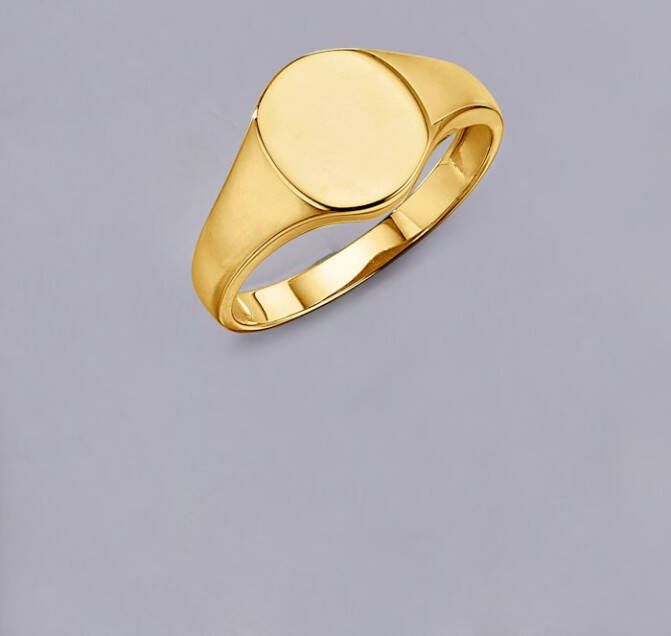 KLiNGEL Herenring 9 kt. Goudkleur