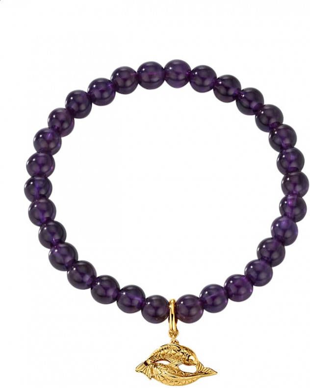 Diemer Farbstein Armband Geboortesteen Vissen met kralen van amethist Paars