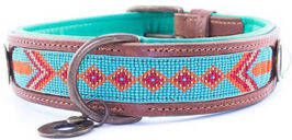 DWAM Halsband Paddy Lee Turquoise Hondenhalsband 49 56x4 cm