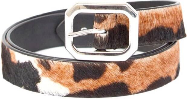 HTC Koeienriem , Bruin, Heren