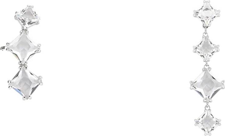 Swarovski Oorbellen Grijs Dames