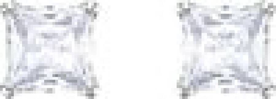 Swarovski Oorbellen , Grijs, Dames