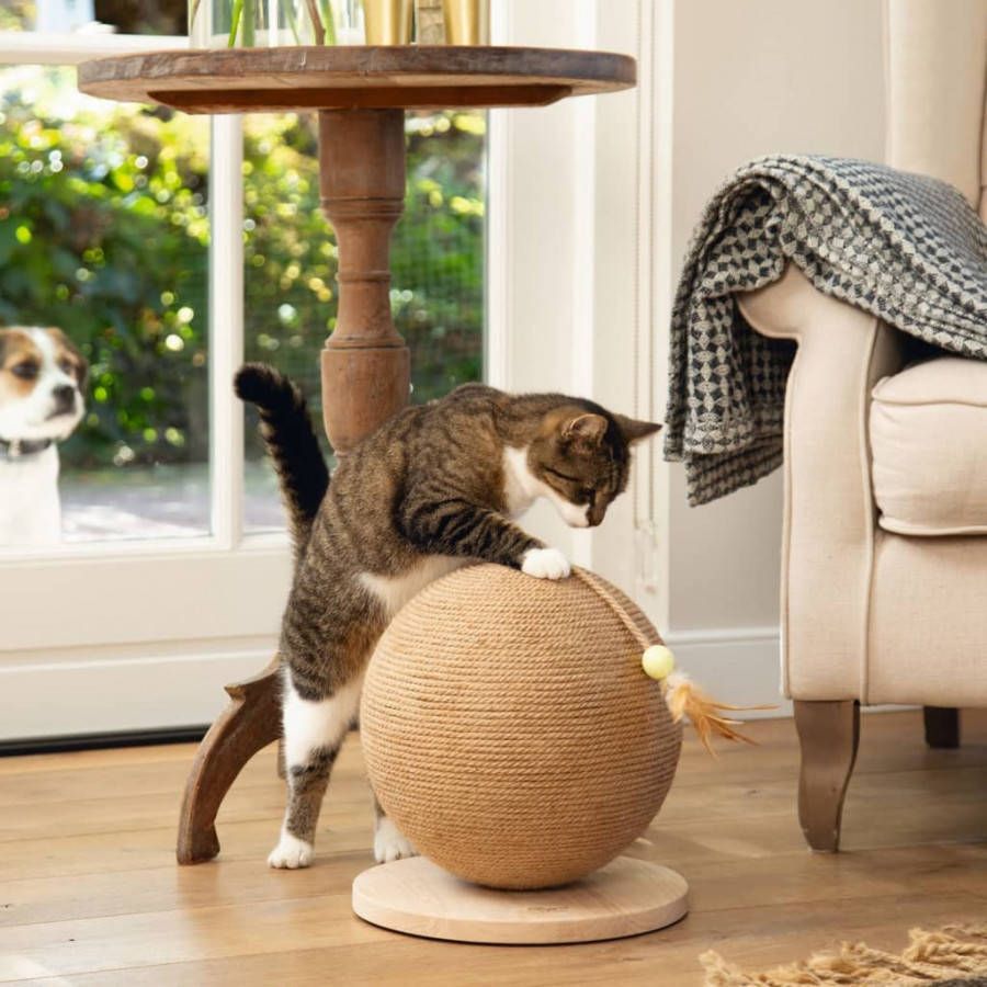 Designed by Lotte Krabbol Balty XL 30 x 30 x 31, 5 cm