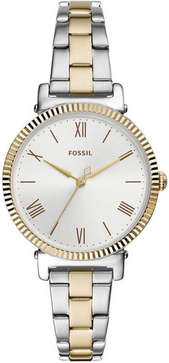 Fossil horloge ES4792 Daisy Zilver