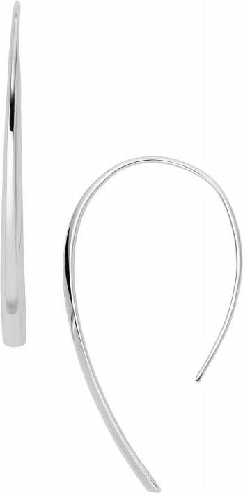 Fossil Oorhangers met zilverkleurige plating