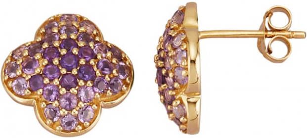 Diemer Farbstein Oorbellen met amethisten Paars