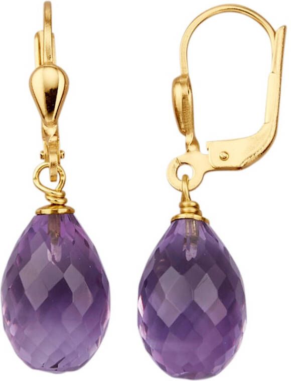 Diemer Farbstein Oorbellen met amethist druppels Paars